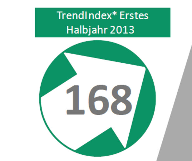TrendIndex 2013